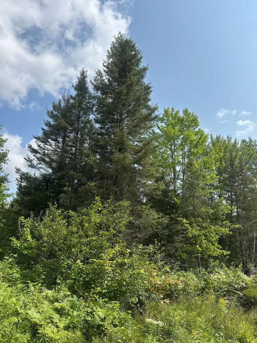 ON Malvern Fire Ln, Rhinelander, WI 54501 - #2