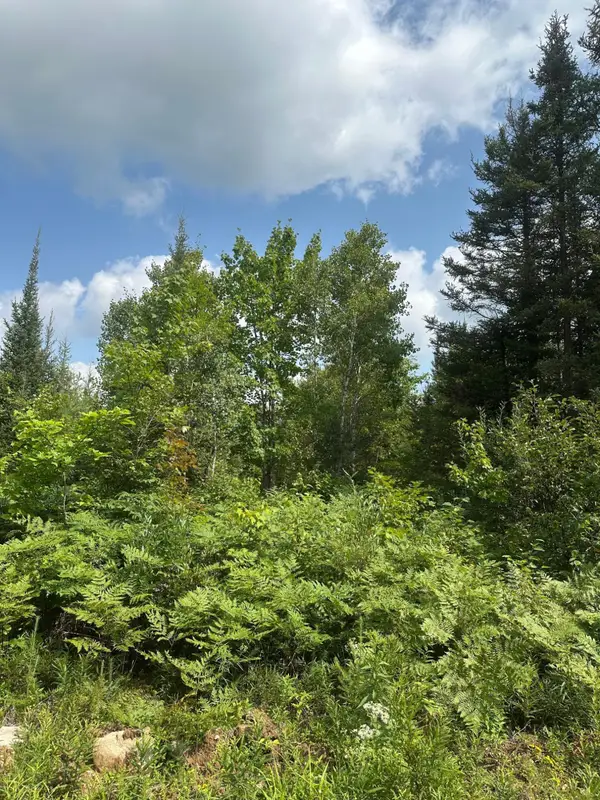 ON Malvern Fire Ln, Rhinelander, WI 54501