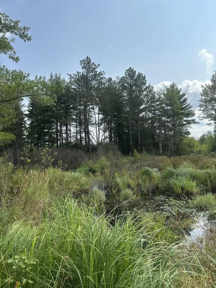 ON Malvern Fire Ln, Rhinelander, WI 54501 - #2