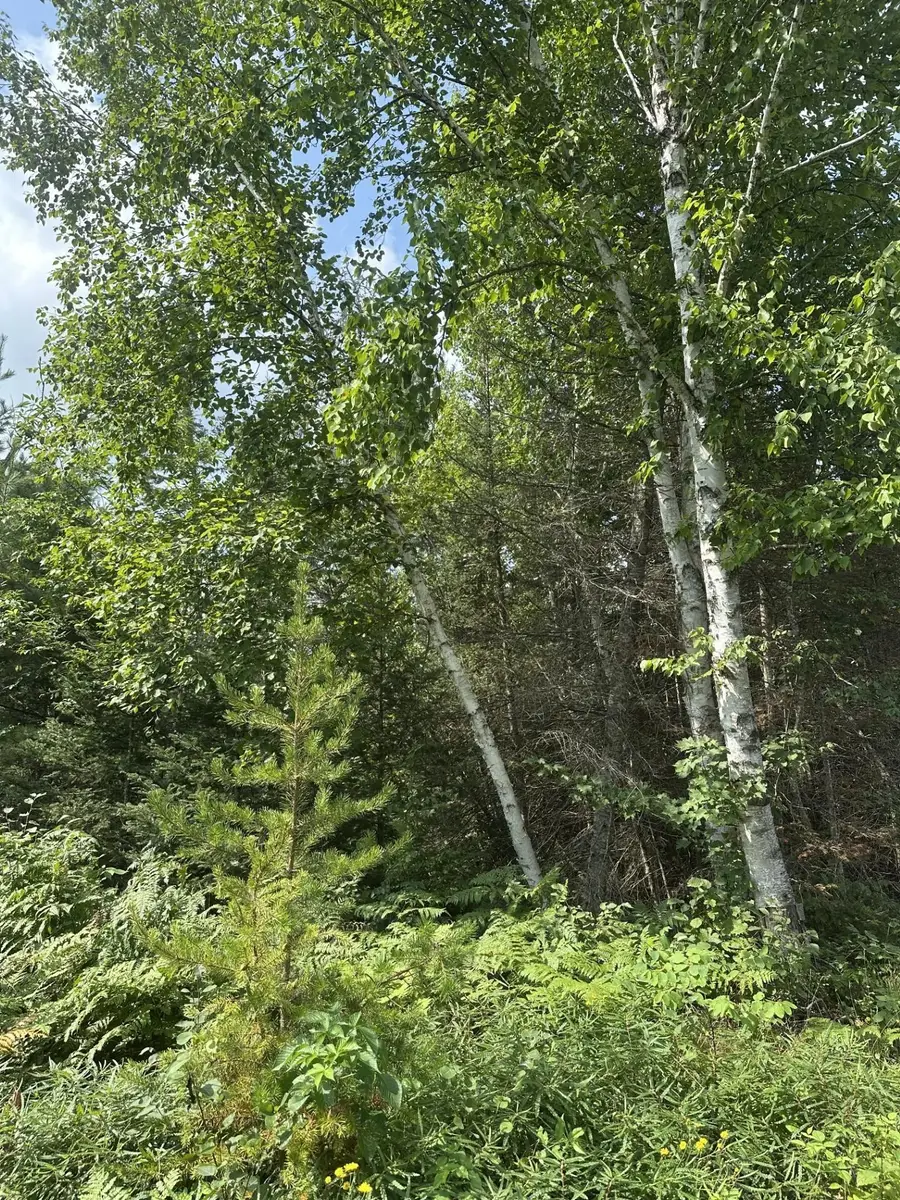 ON Malvern Fire Ln, Rhinelander, WI 54501 - #3