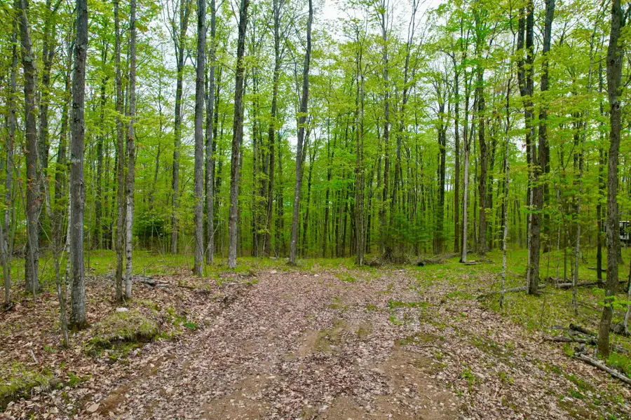 1260 Lily Lake Rd, Pickerel, WI 54465 - #3