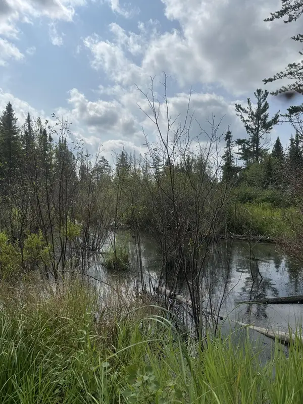 ON Malvern Fire Ln, Rhinelander, WI 54501