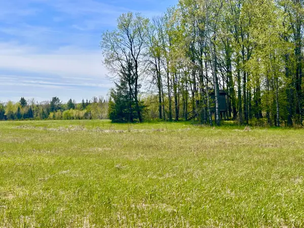 ON Hwy 55 #37.15 ACRE, White Lake, WI 54491