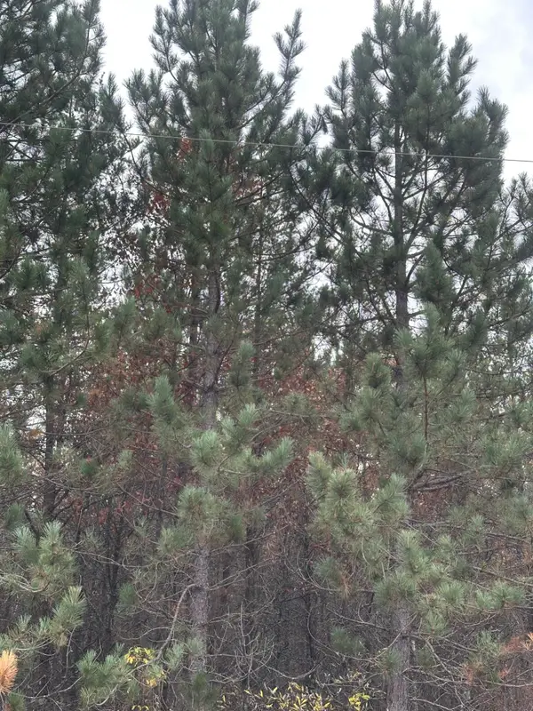 ON Cth Y, Tomahawk, WI 54487