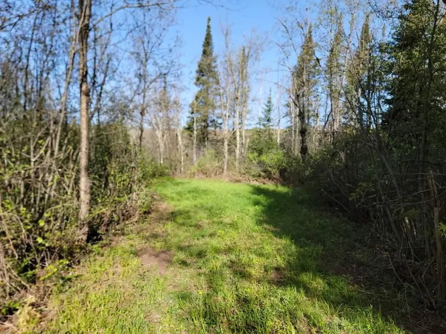 ON Cth W, Winter, WI 54896 - #3