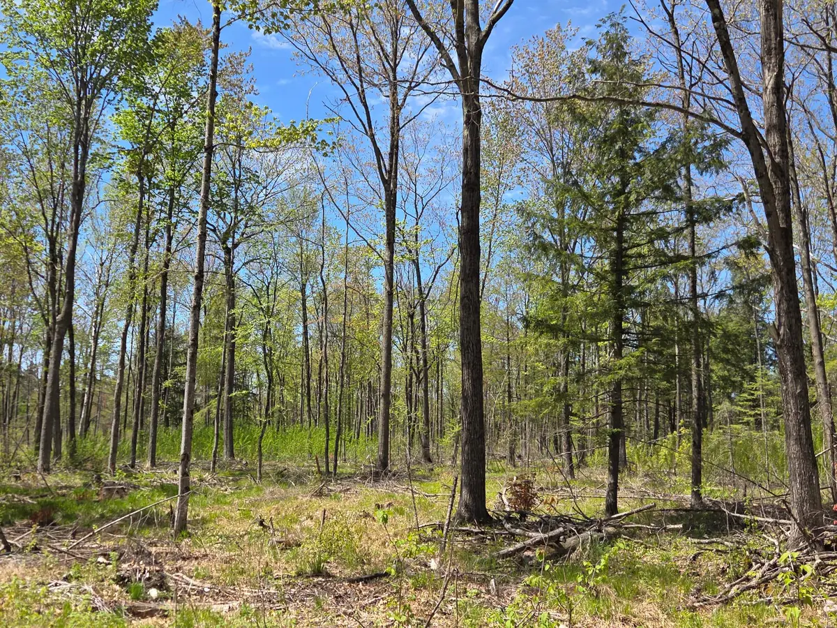 ON Circle Dr #10Acres, Brantwood, WI 54513 - #1