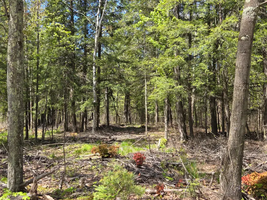 ON Circle Dr #10Acres, Brantwood, WI 54513 - #3