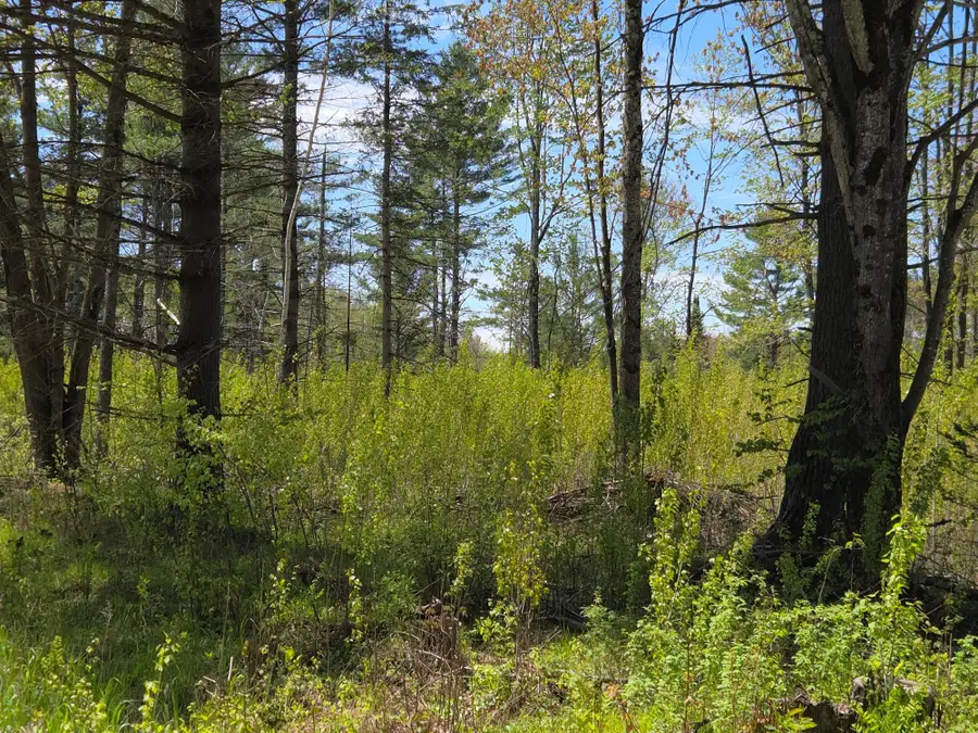 ON Central Ave E #10Acres, Brantwood, WI 54513 - #2
