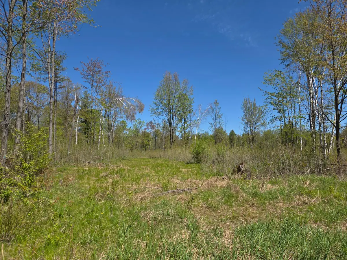 ON Central Ave E #20Acres, Brantwood, WI 54513 - #1