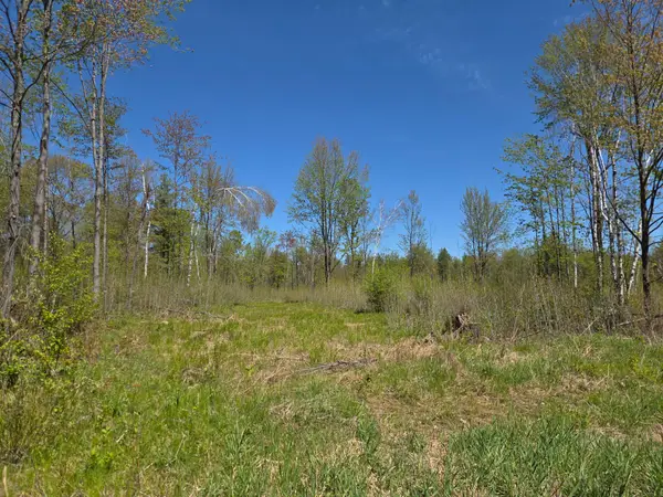 ON Central Ave E #20Acres, Brantwood, WI 54513