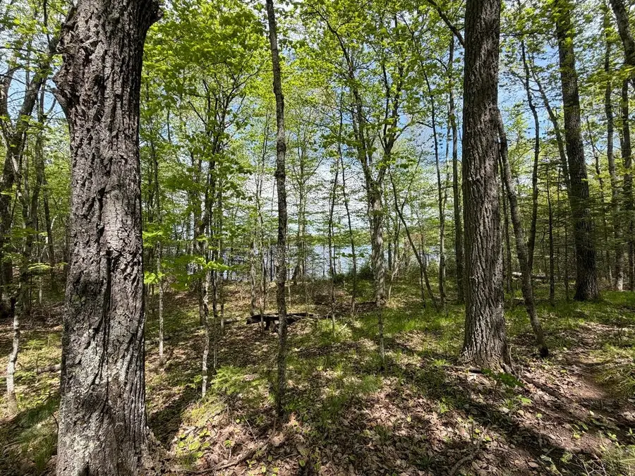 LOT 6 Cth H, Mercer, WI 54547 - #2