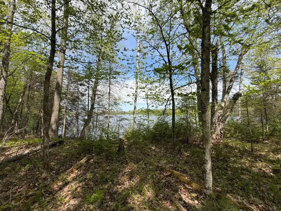 LOT 6 Cth H, Mercer, WI 54547 - #3
