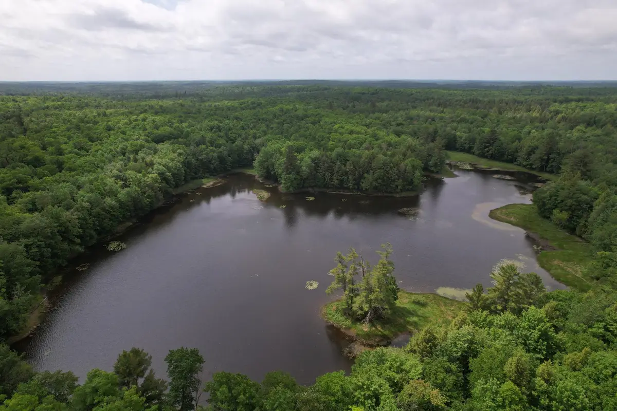 ON Nig Rein Rd #+/- 40 ac, Glidden, WI 54527 - #1