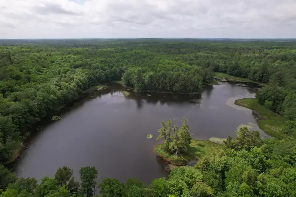ON Nig Rein Rd #+/- 40 ac, Glidden, WI 54527