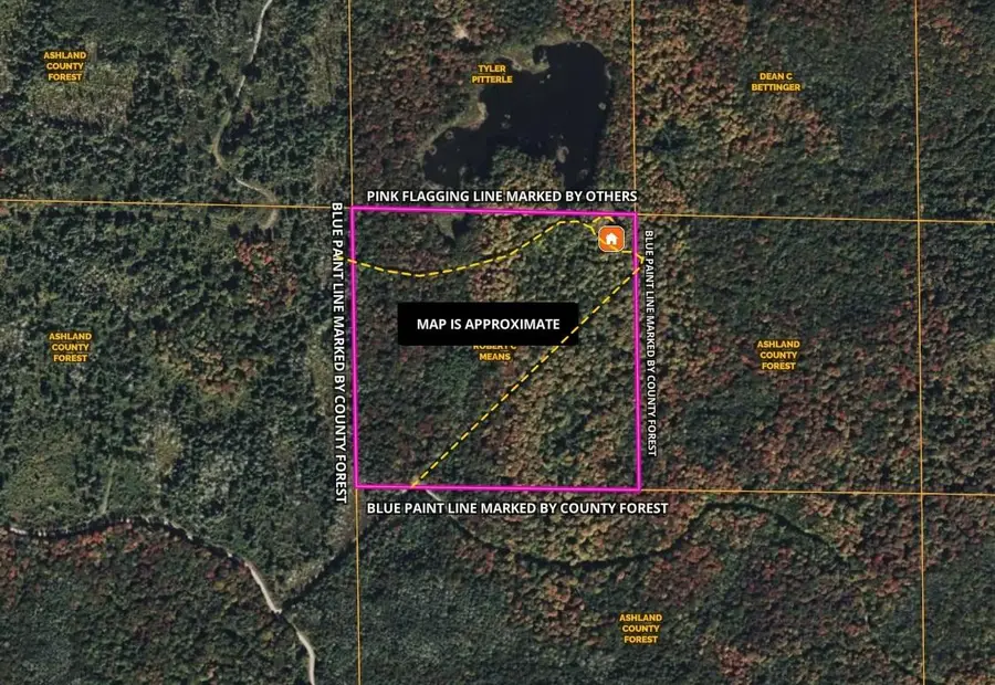 ON Nig Rein Rd #+/- 40 ac, Glidden, WI 54527 - #2