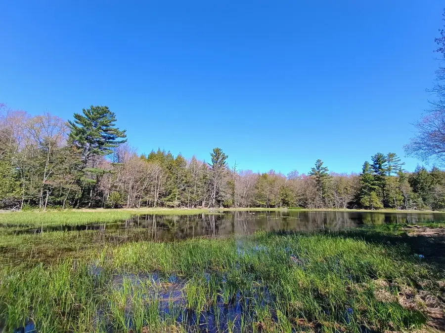 ON Nig Rein Rd #+/- 40 ac, Glidden, WI 54527 - #3