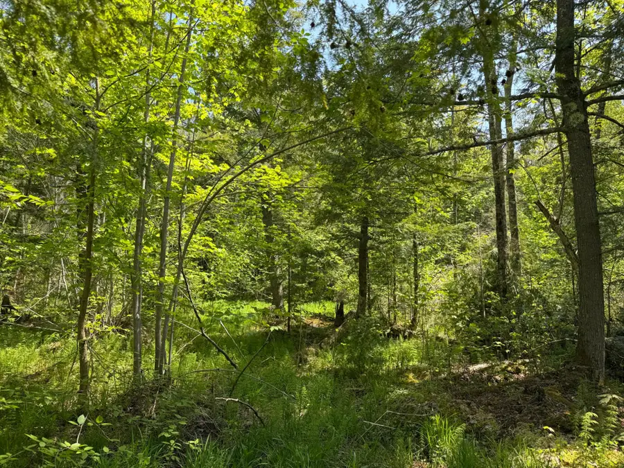 OFF Lake Rd E, Ironwood, MI 49938 - #3