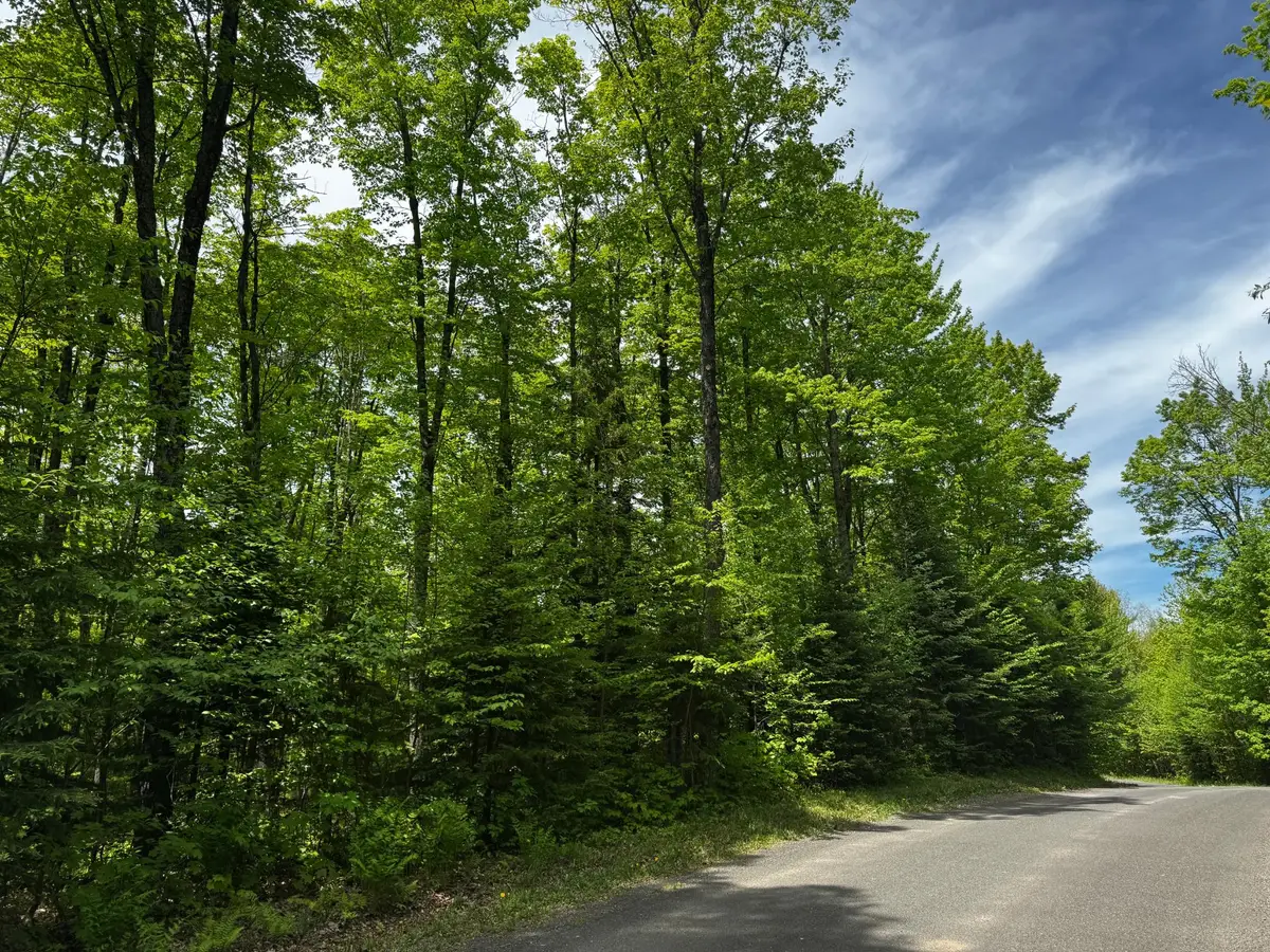 Lot 87 Powderhorn Rd, Presque Isle, WI 54560 - #1