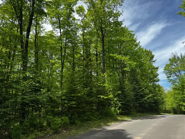 Lot 87 Powderhorn Rd, Presque Isle, WI 54560