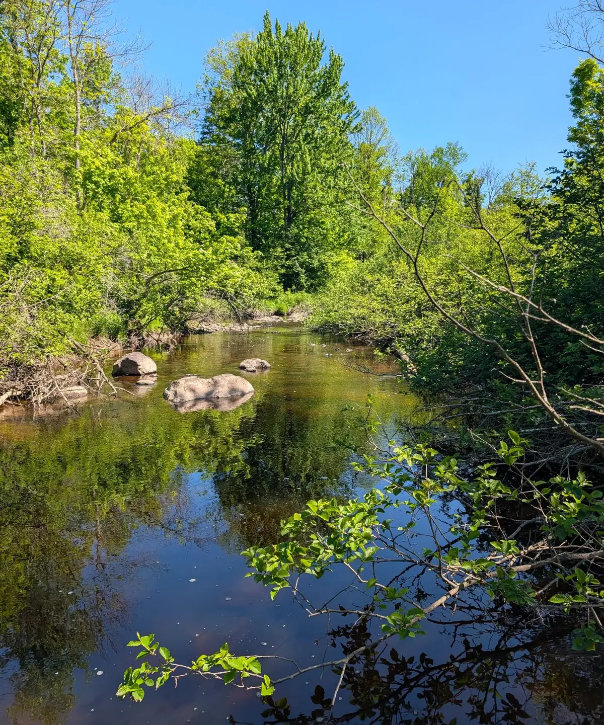 00 Circle Rd, Glen Flora, WI 54526 - #1