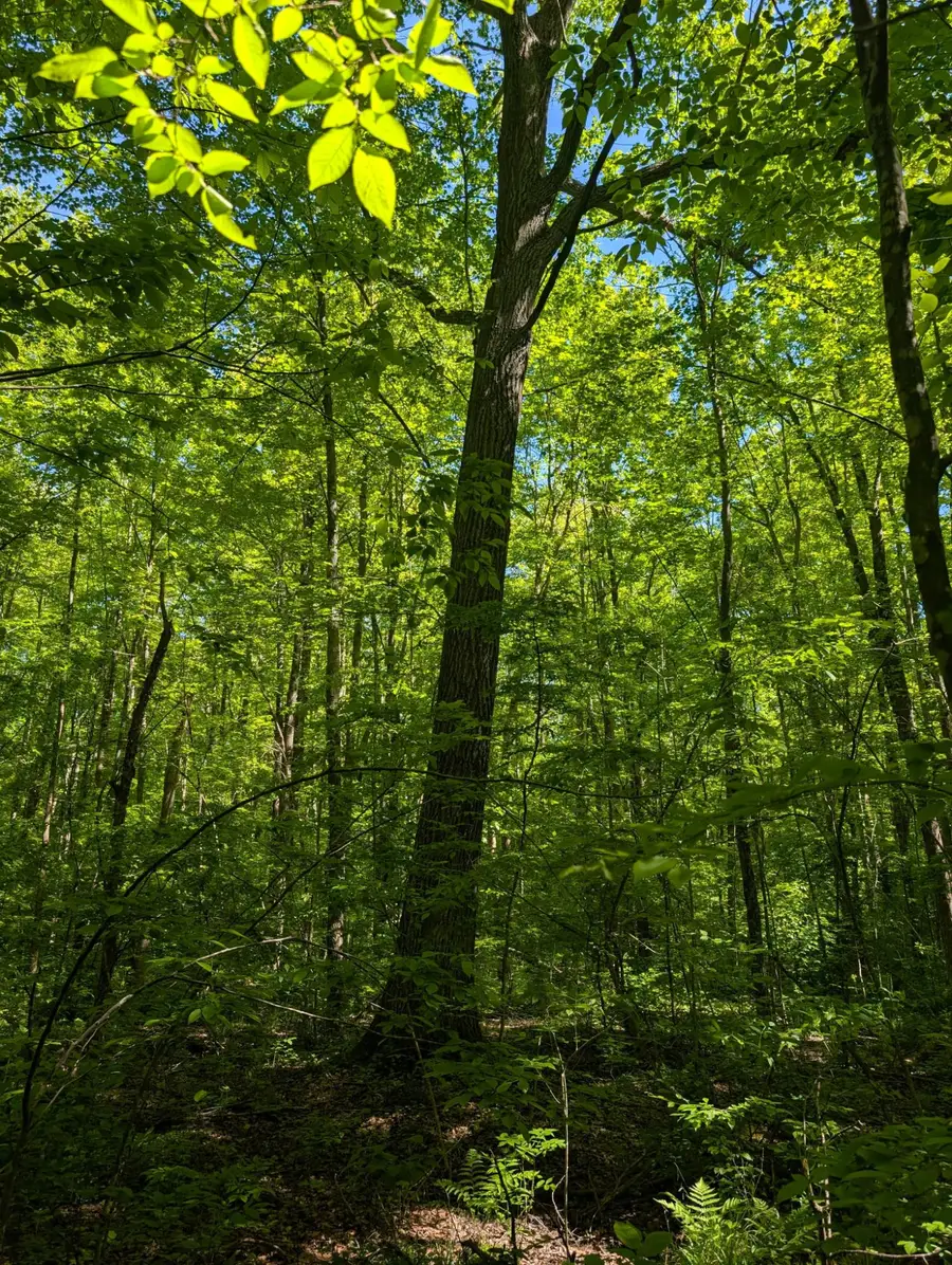 00 Circle Rd, Glen Flora, WI 54526 - #2