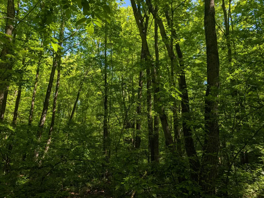 00 Circle Rd, Glen Flora, WI 54526 - #3