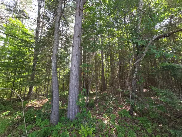 ON Solberg Lake Rd E #Lot 1, Phillips, WI 54555