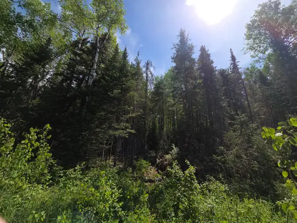 ON Solberg Lake Rd E #Lot 3, Phillips, WI 54555