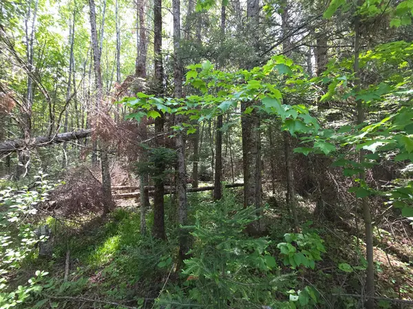 ON Solberg Lake Rd E #Lot 4, Phillips, WI 54555