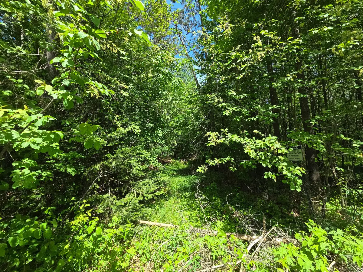 ON Solberg Lake Rd E #Lot 7, Phillips, WI 54555 - #1