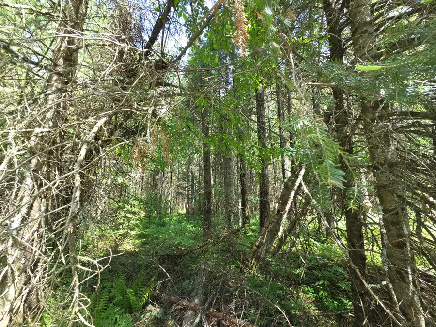 ON Solberg Lake Rd E #Lot 8, Phillips, WI 54555 - #3