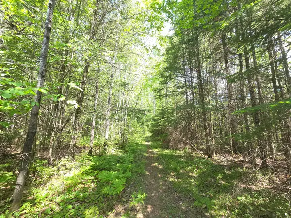 ON Solberg Lake Rd E #Lot 9, Phillips, WI 54555