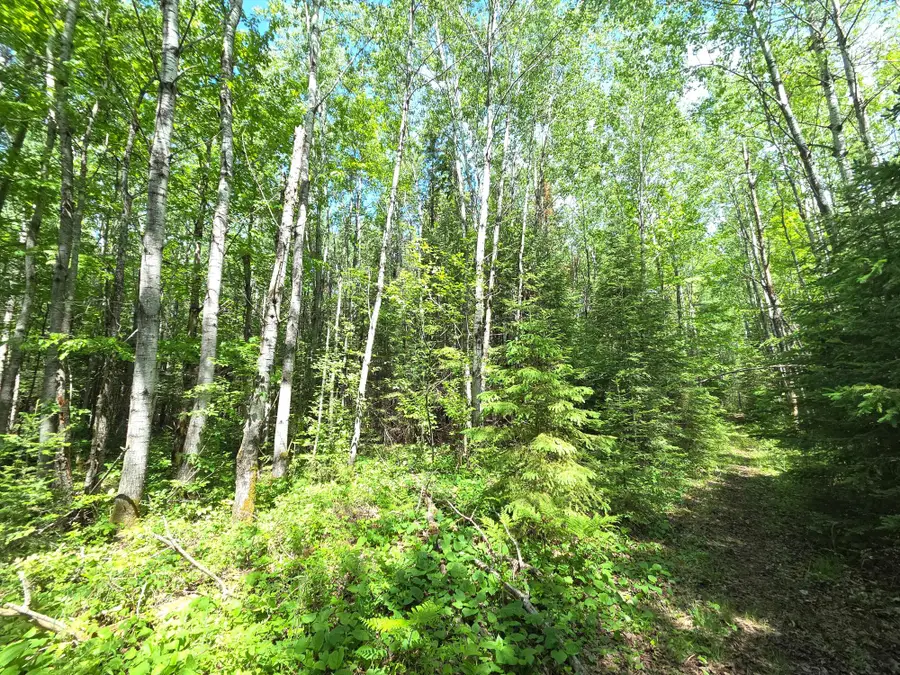 ON Solberg Lake Rd E #Lot 9, Phillips, WI 54555 - #3
