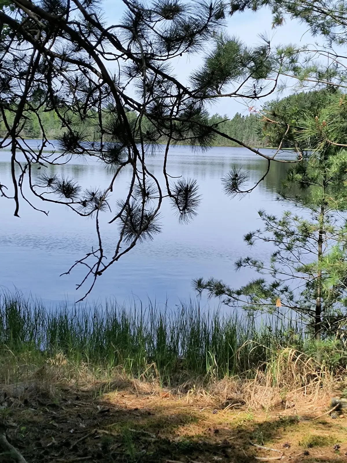 ON Silver Lake Rd, Rhinelander, WI 54501 - #1