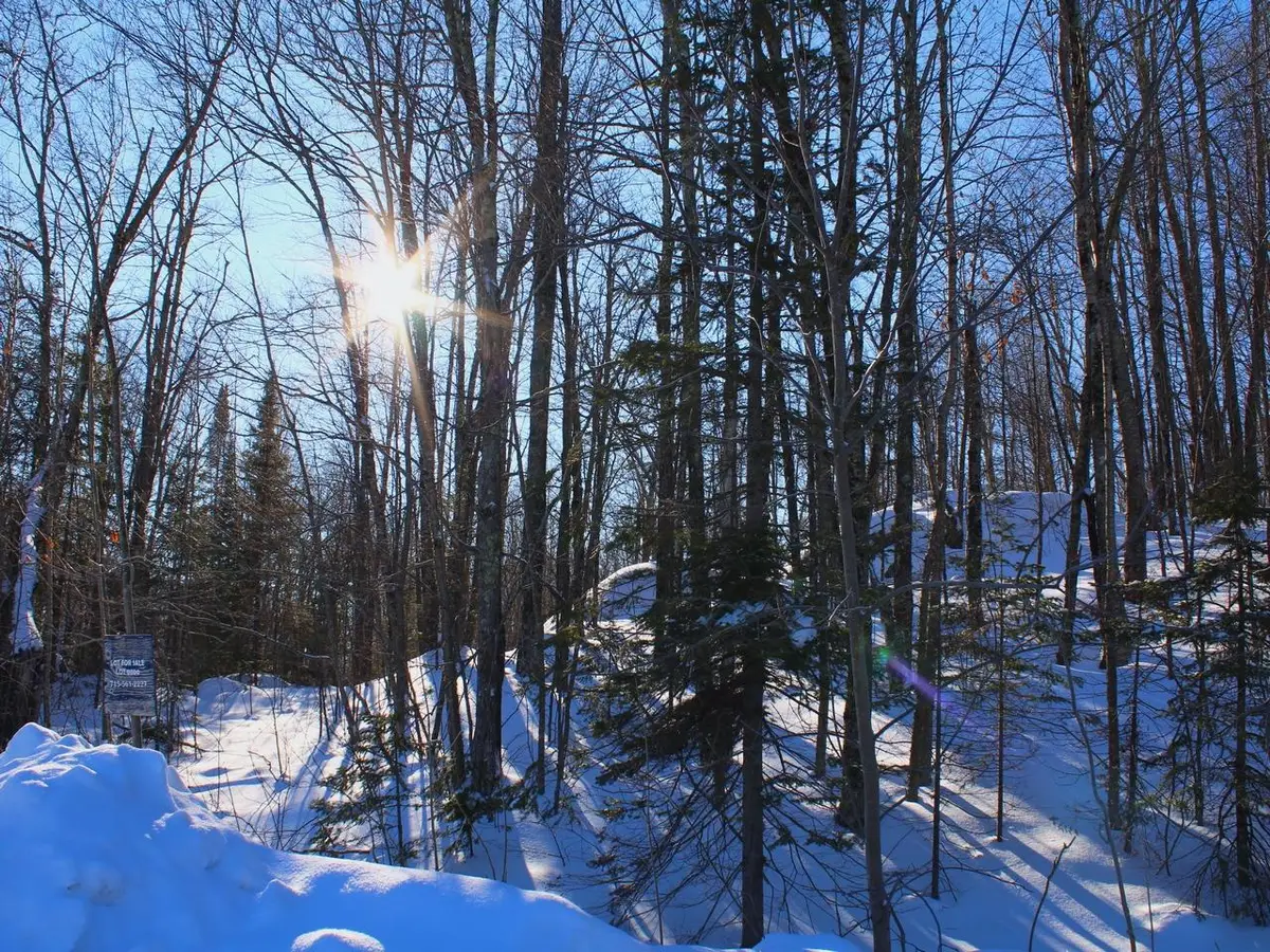 ON Alpine Dr #Lot 35, Upson, WI 54565 - #1