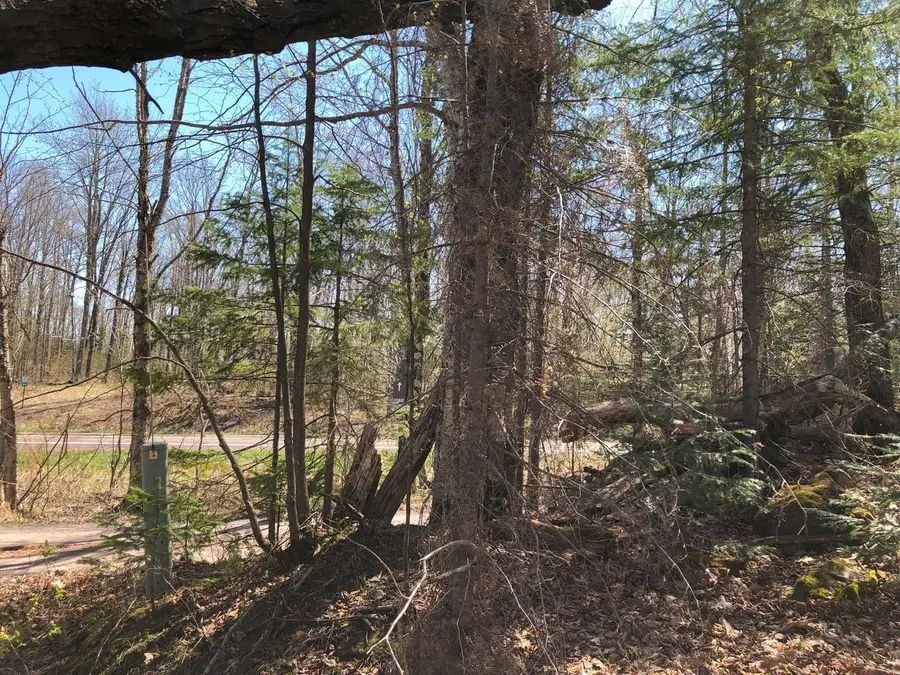 ON Alpine Dr #Lot 35, Upson, WI 54565 - #2