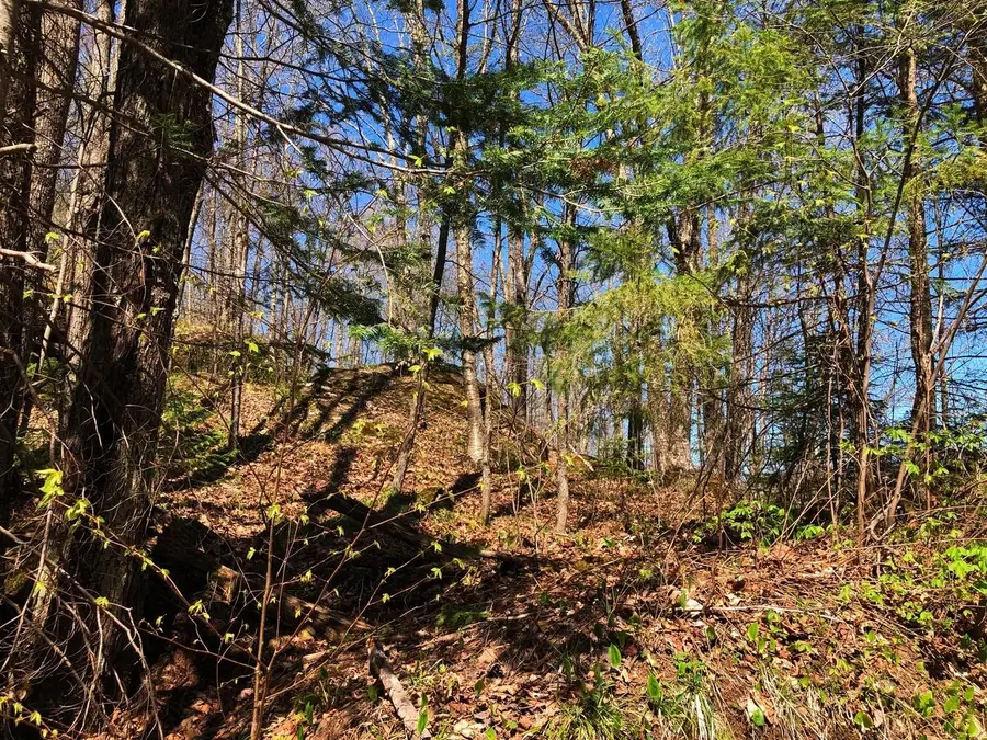 ON Alpine Dr #Lot 35, Upson, WI 54565 - #3