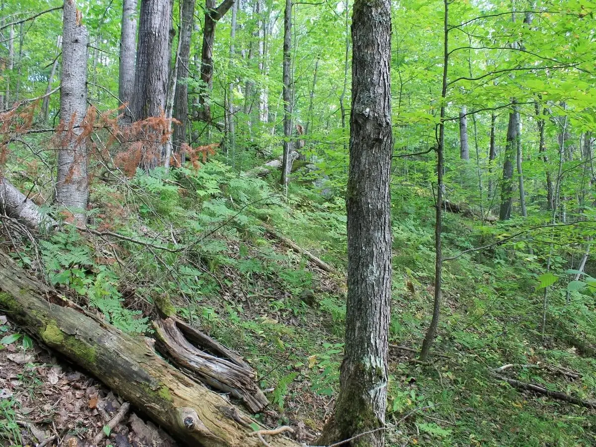 ON Alpine Dr #Lot 15, Upson, WI 54565 - #1