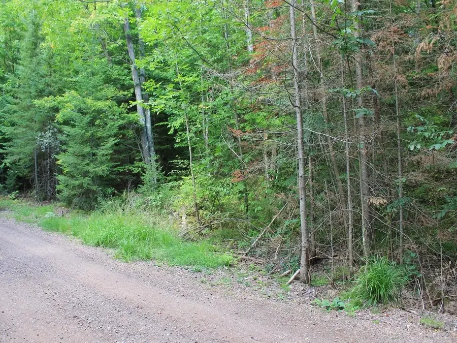 ON Alpine Dr #Lot 15, Upson, WI 54565 - #3