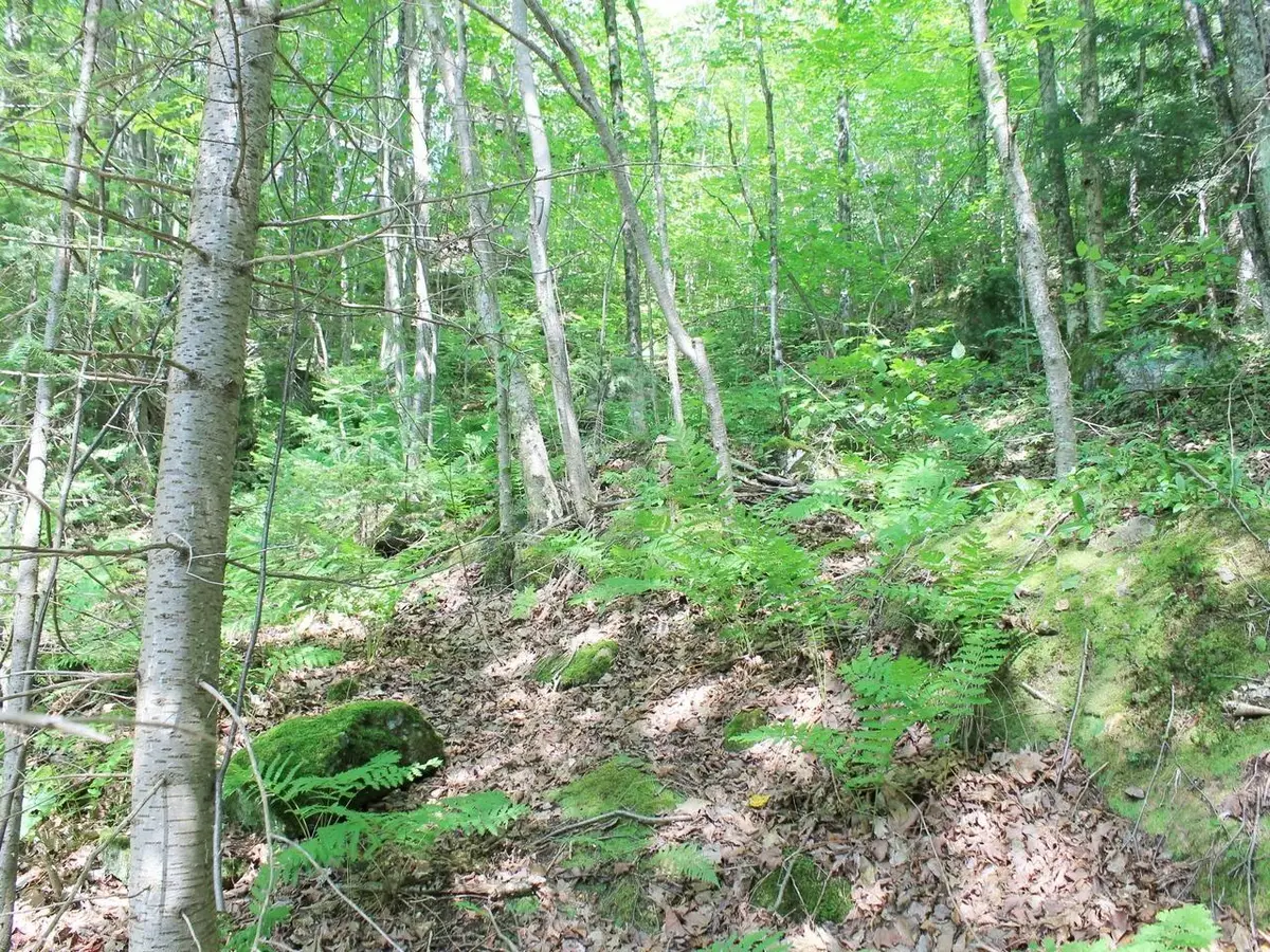 ON Skye Dr #OUTLOT 1, Upson, WI 54565 - #1