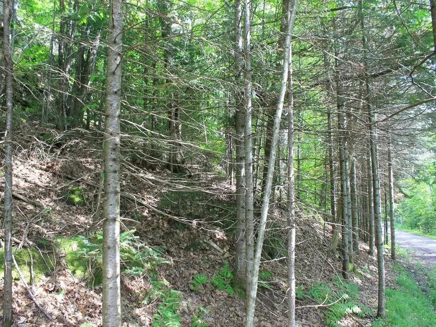 ON Skye Dr #OUTLOT 1, Upson, WI 54565 - #3