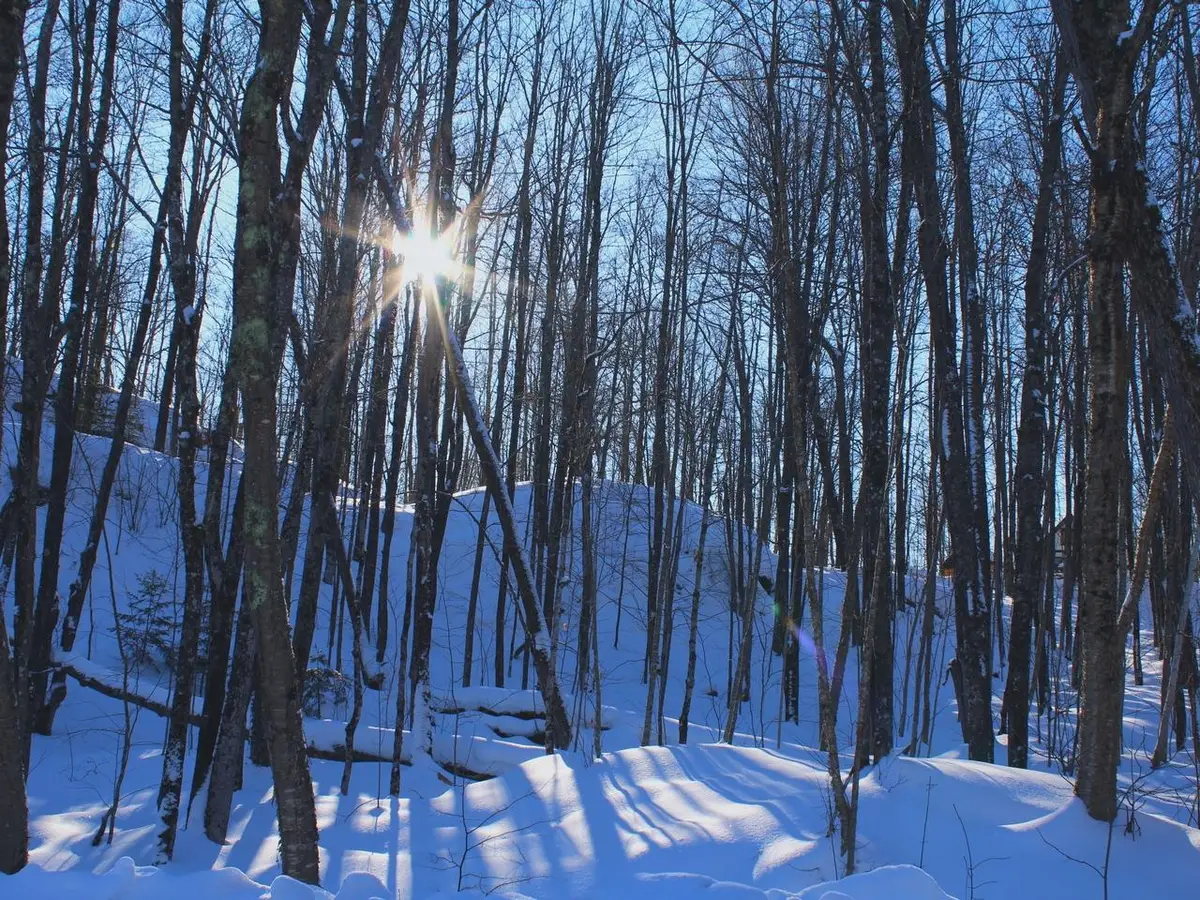 ON Skye Dr #Outlot 3, Upson, WI 54565 - #1