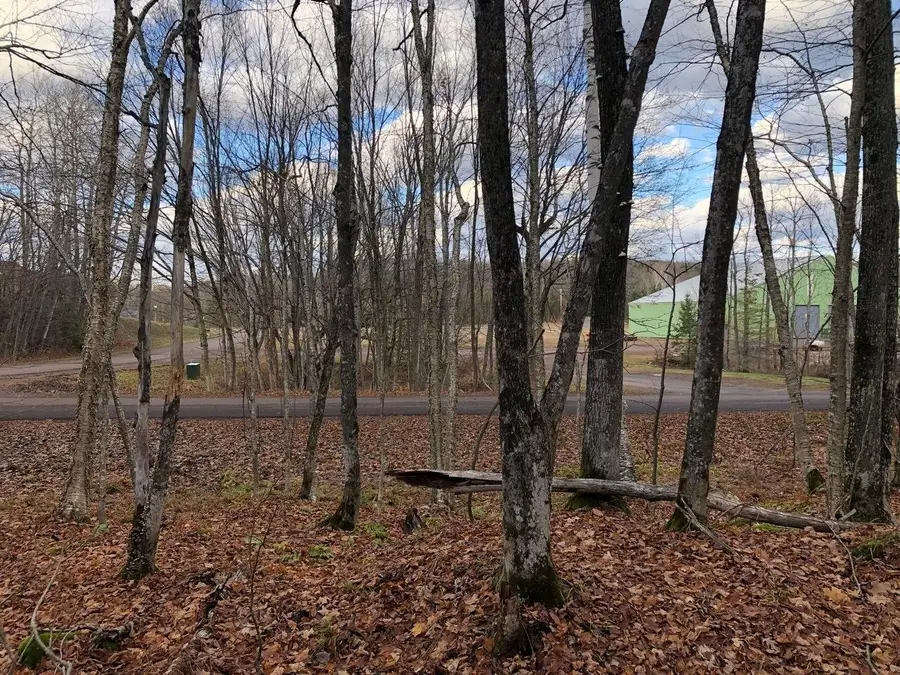 ON Skye Dr #Outlot 3, Upson, WI 54565 - #2