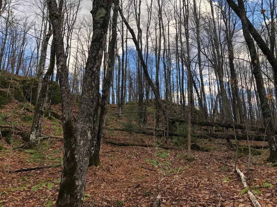 ON Skye Dr #Outlot 3, Upson, WI 54565 - #3