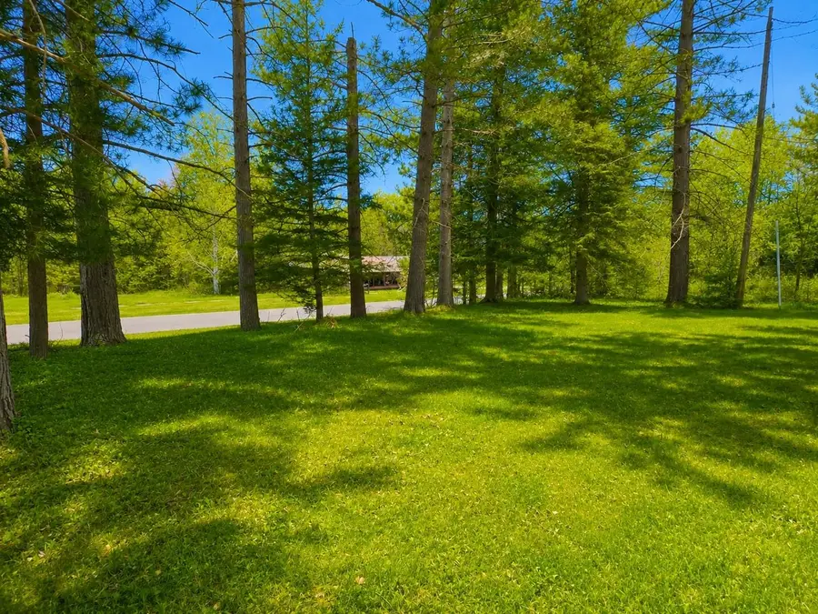 10150 Cypress St, Newald, WI 54511 - #3