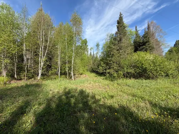 Parcel F Three Ten Rd, Mercer, WI 54547