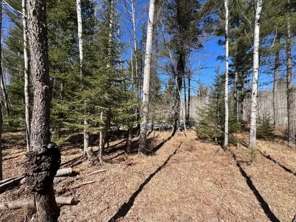 TBD Hwy 424, Crystal Falls, MI 49920