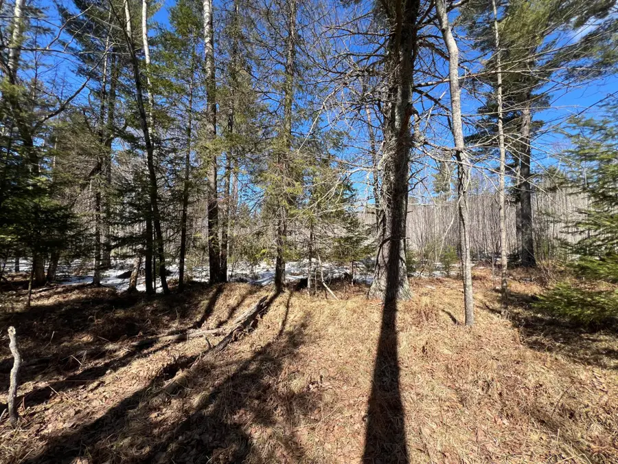 TBD Hwy 424, Crystal Falls, MI 49920 - #2
