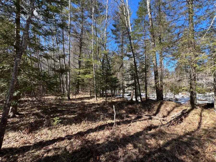 TBD Hwy 424, Crystal Falls, MI 49920 - #3