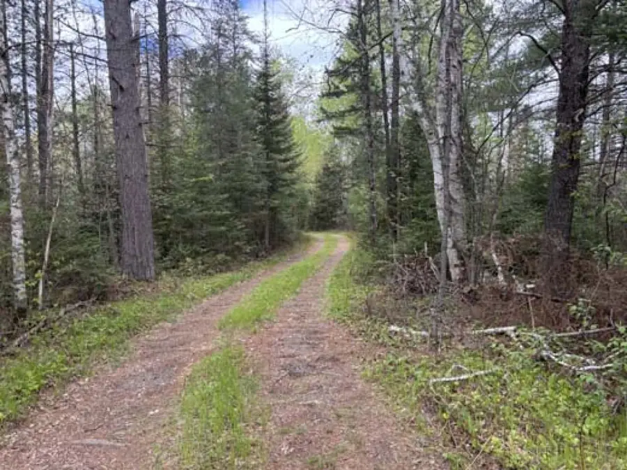 3121 Haymeadow Rd, Rhinelander, WI 54501 - #2